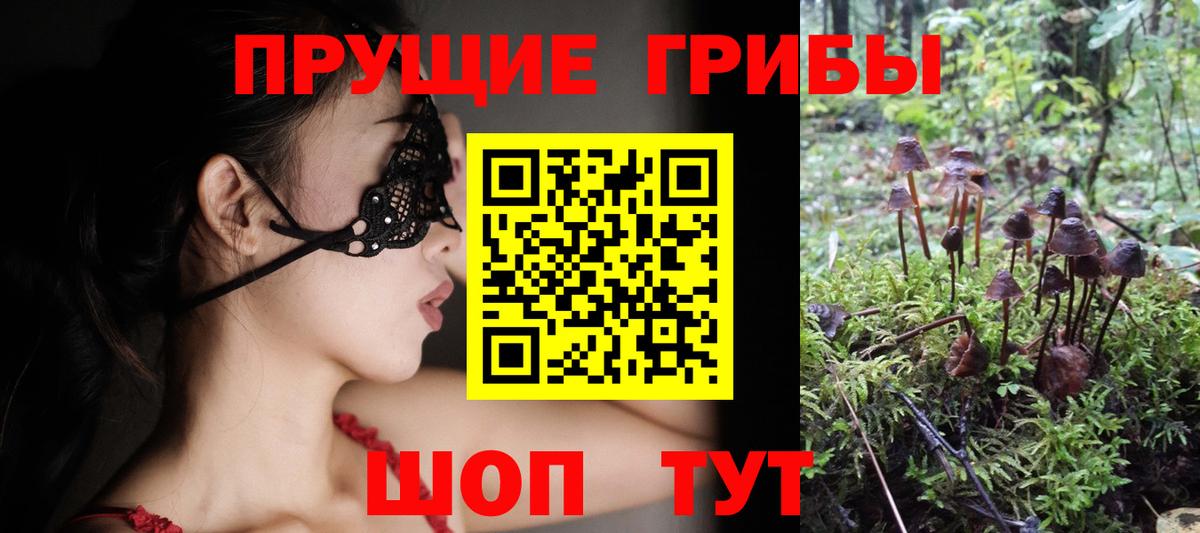 Галлюциногенные грибы мухоморы  цены   Воронеж  Вход с VPN 